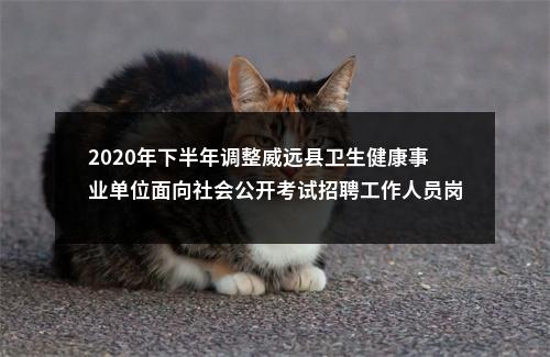 2020年下半年调整威远县卫生健康事业单位面向社会公开考试招聘工作人员岗位（第一次）的公告 图片