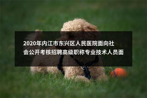 2020年内江市东兴区人民医院面向社会公开考核招聘高级职称专业技术人员面试有关事项的通知 图片
