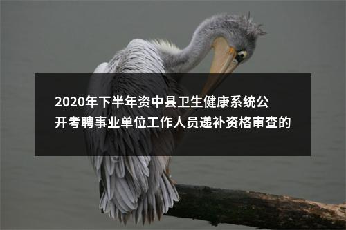2020年下半年资中县卫生健康系统公开考聘事业单位工作人员递补资格审查的通知 图片