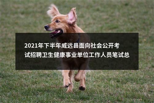 2021年下半年威远县面向社会公开考试招聘卫生健康事业单位工作人员笔试总成绩及排名的公示 图片